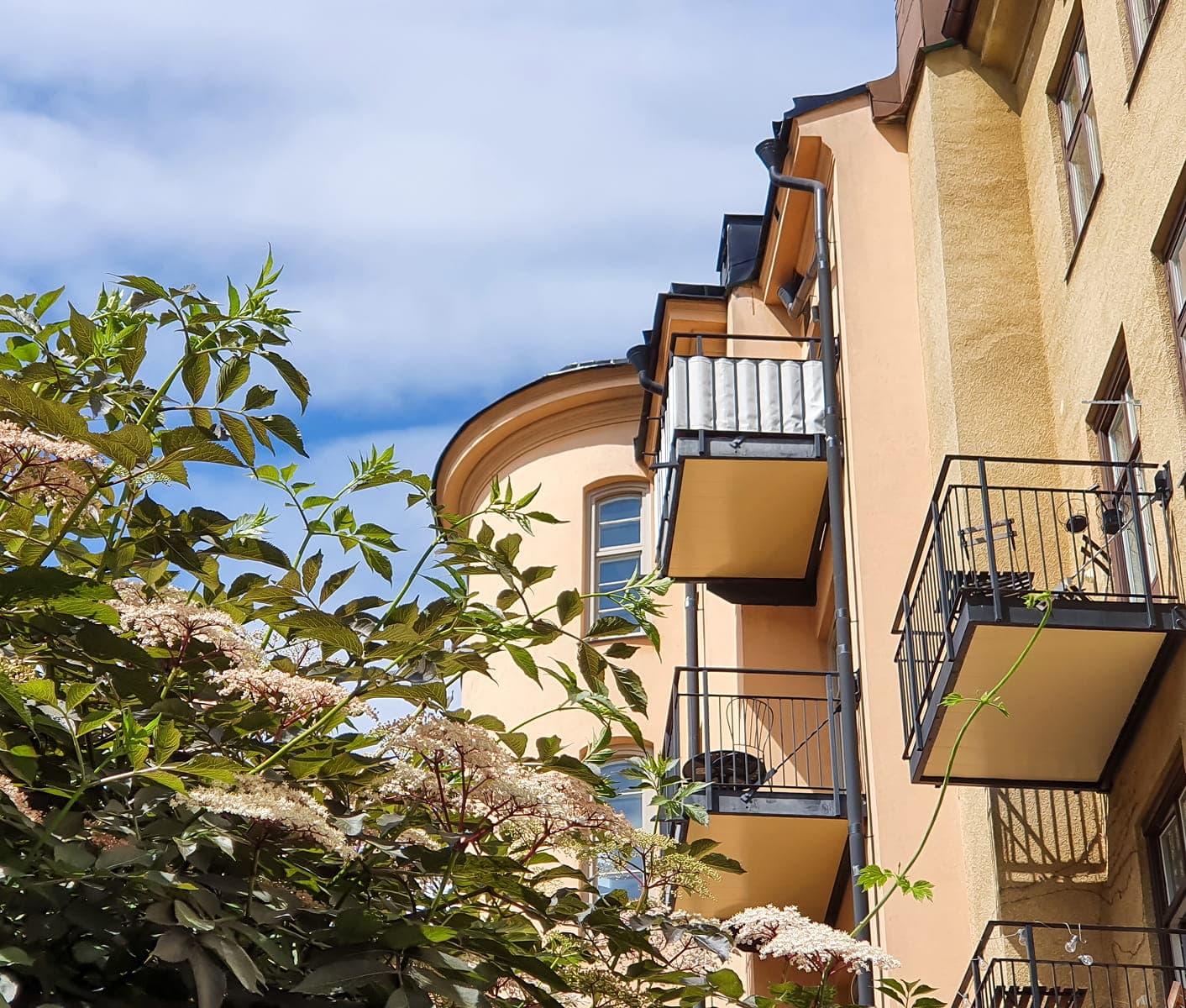Apartment building in an established residential area with trees and vegetation.