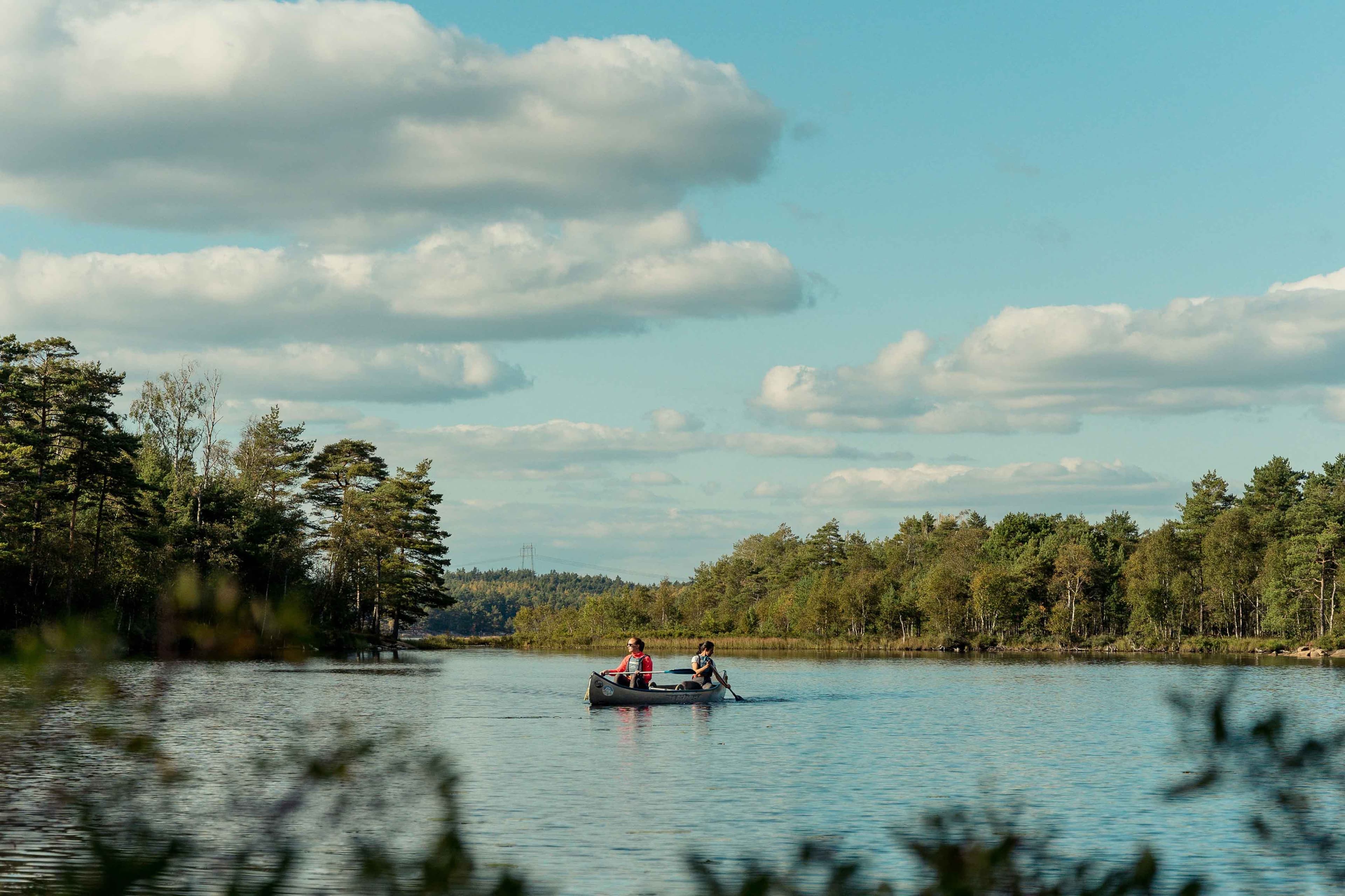 Two people in a boat on a calm lake surrounded by forest and nature.
